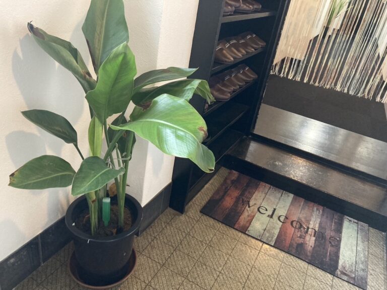 4F555E26 4E7B 4E01 A8EE D4BEC61A6769 1 105 C 768x576